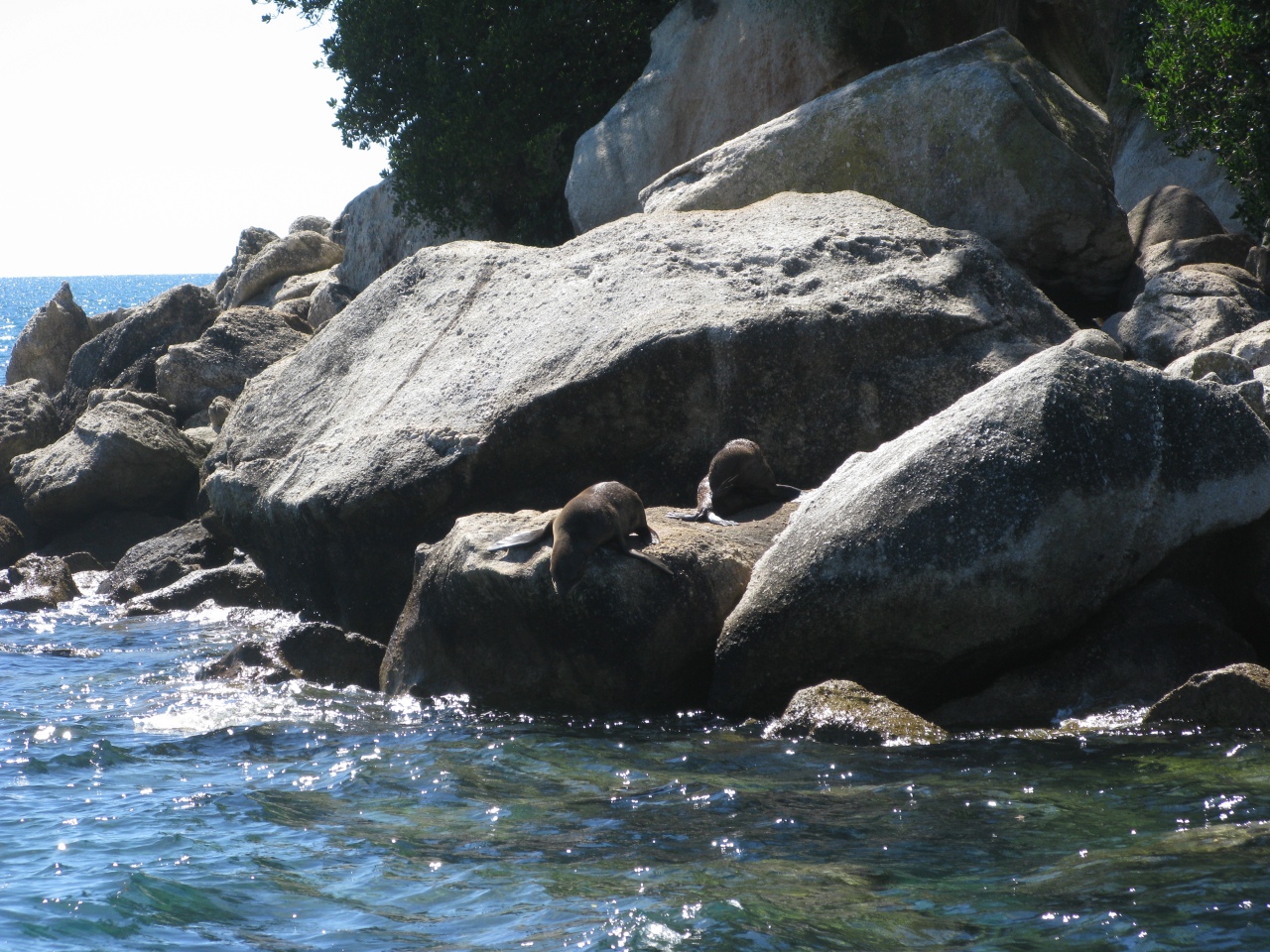 Abel Tasman