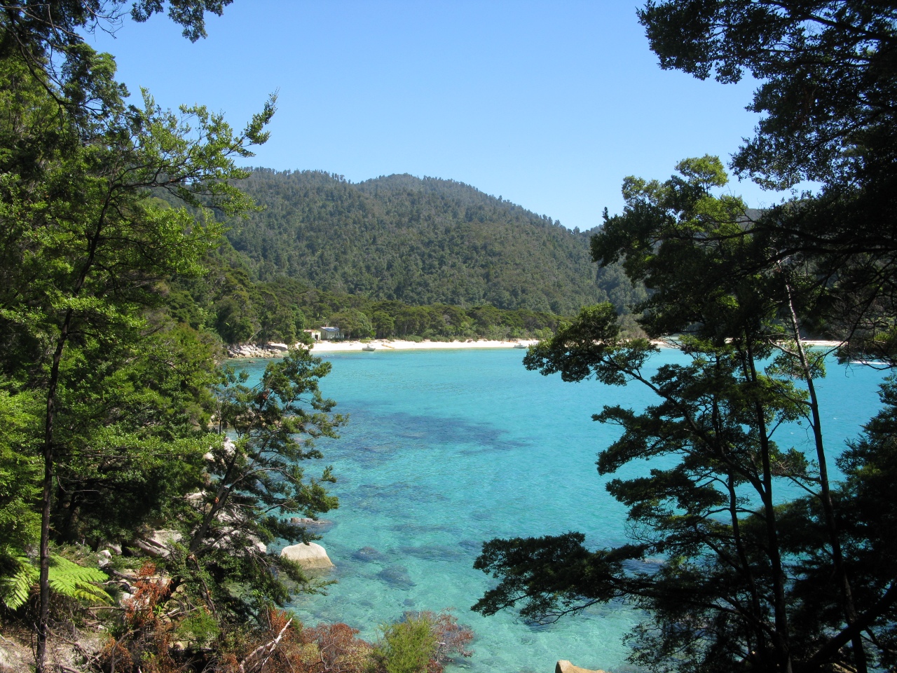 Abel Tasman