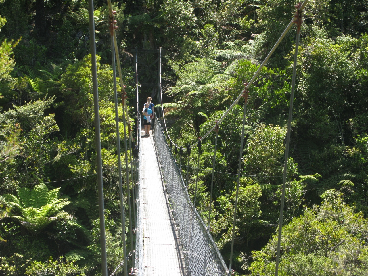 Abel Tasman