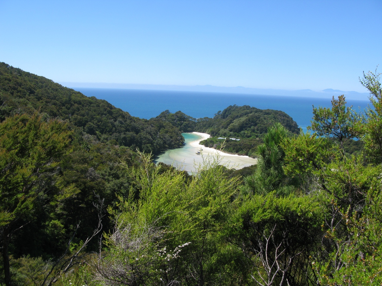 Abel Tasman