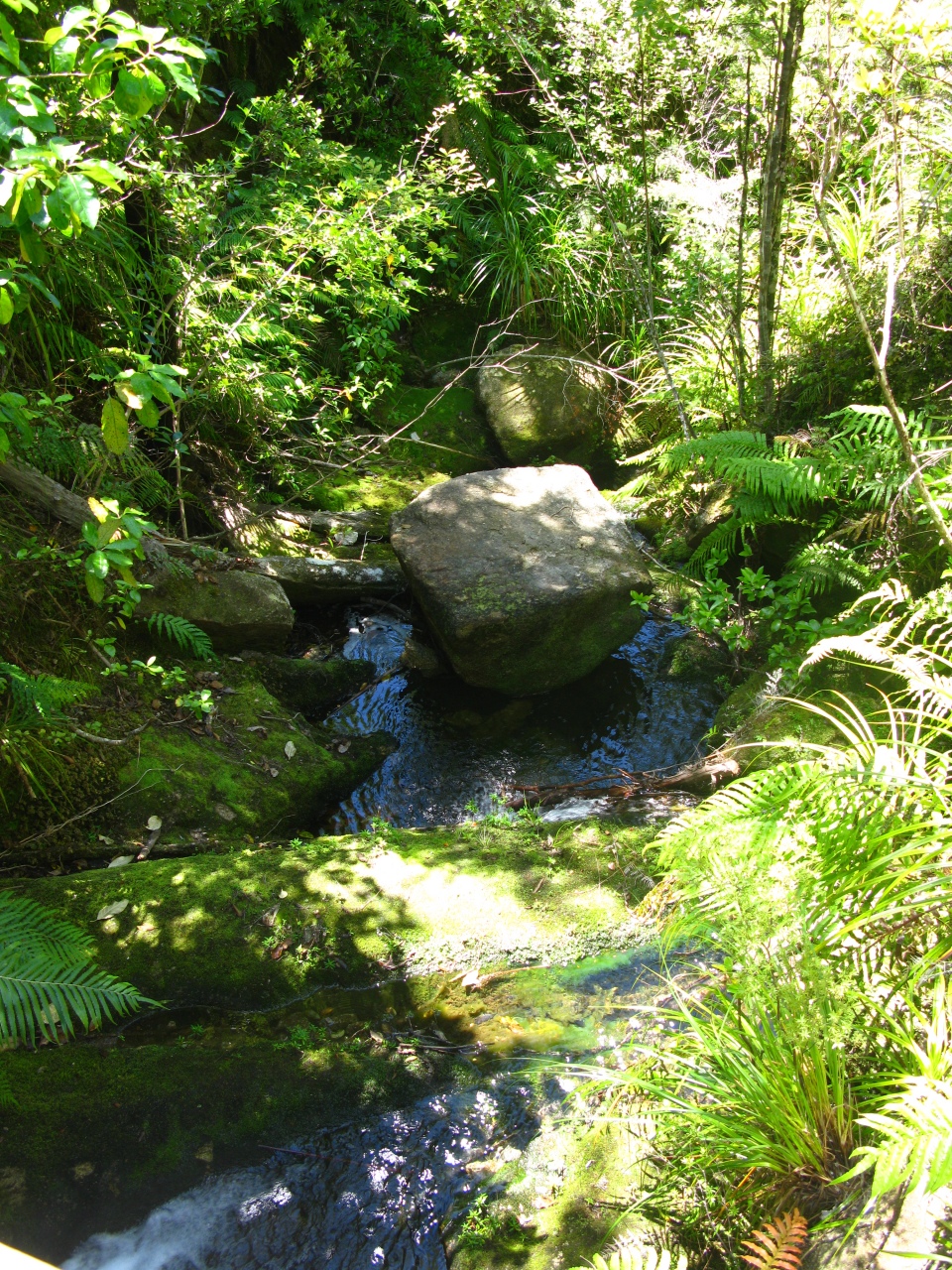 Abel Tasman