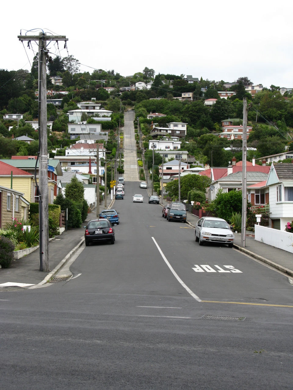 Dunedin - Baldwin Street