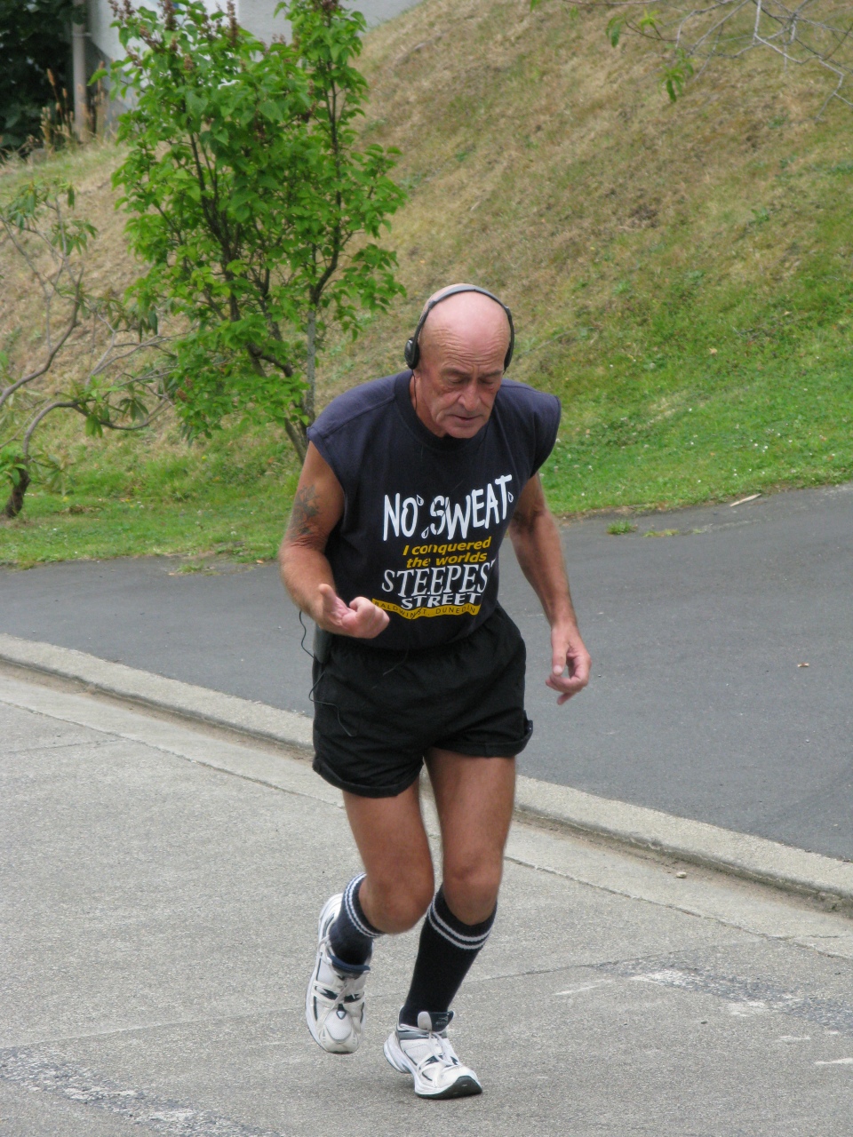 Dunedin - Baldwin Street