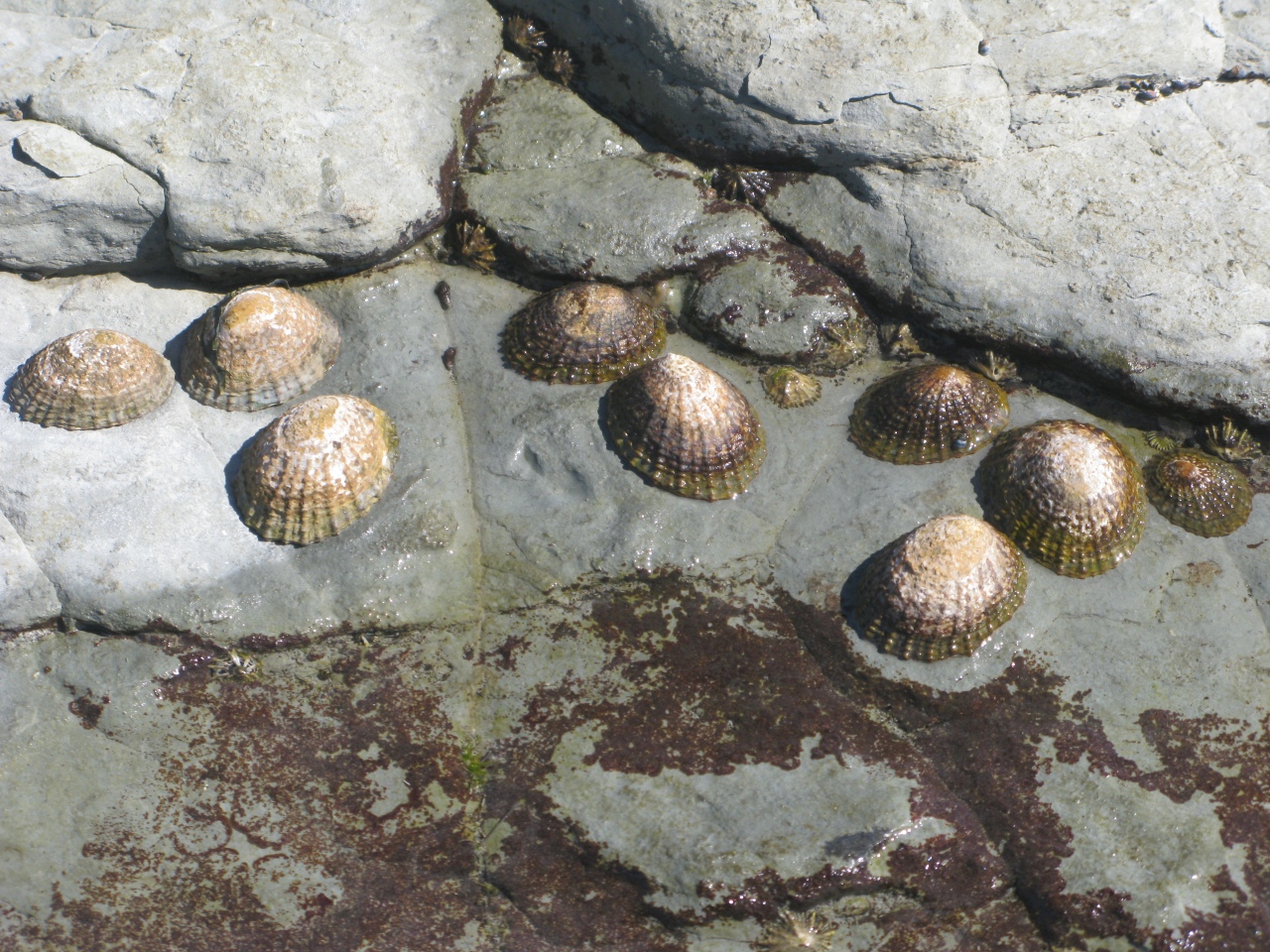 Kaikoura