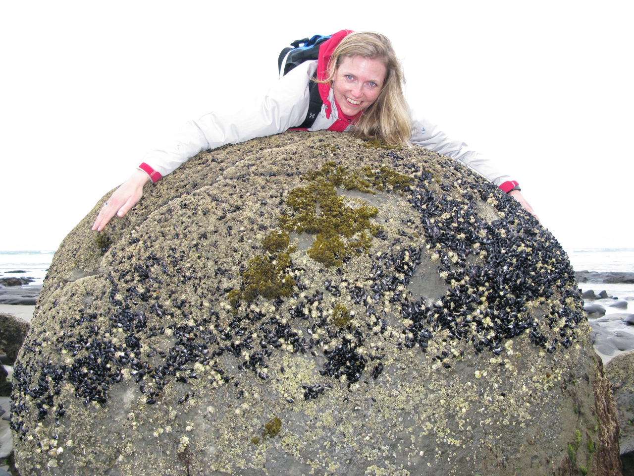 Moeraki Boulders