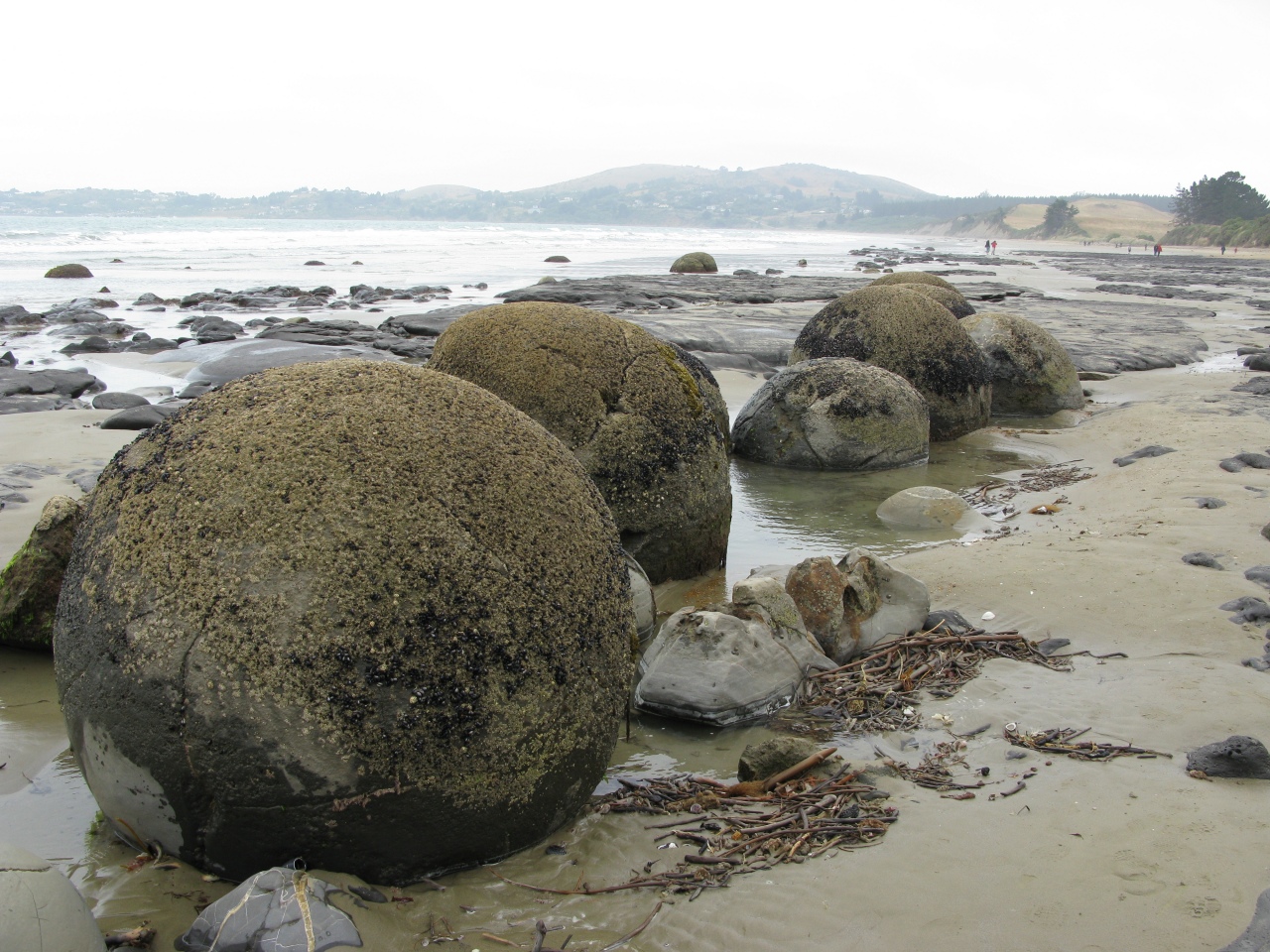 Moeraki Boulders