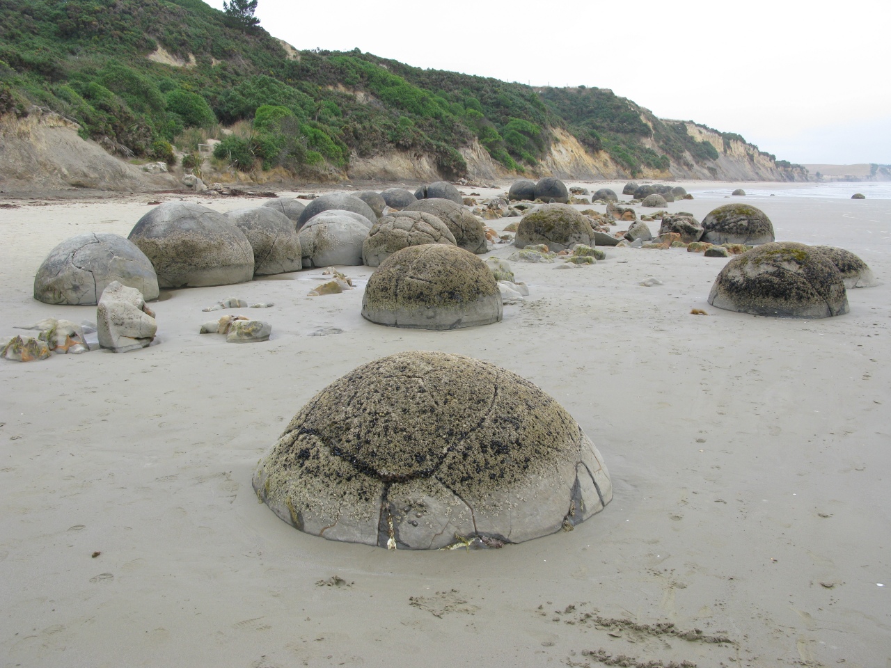 Moeraki Boulders