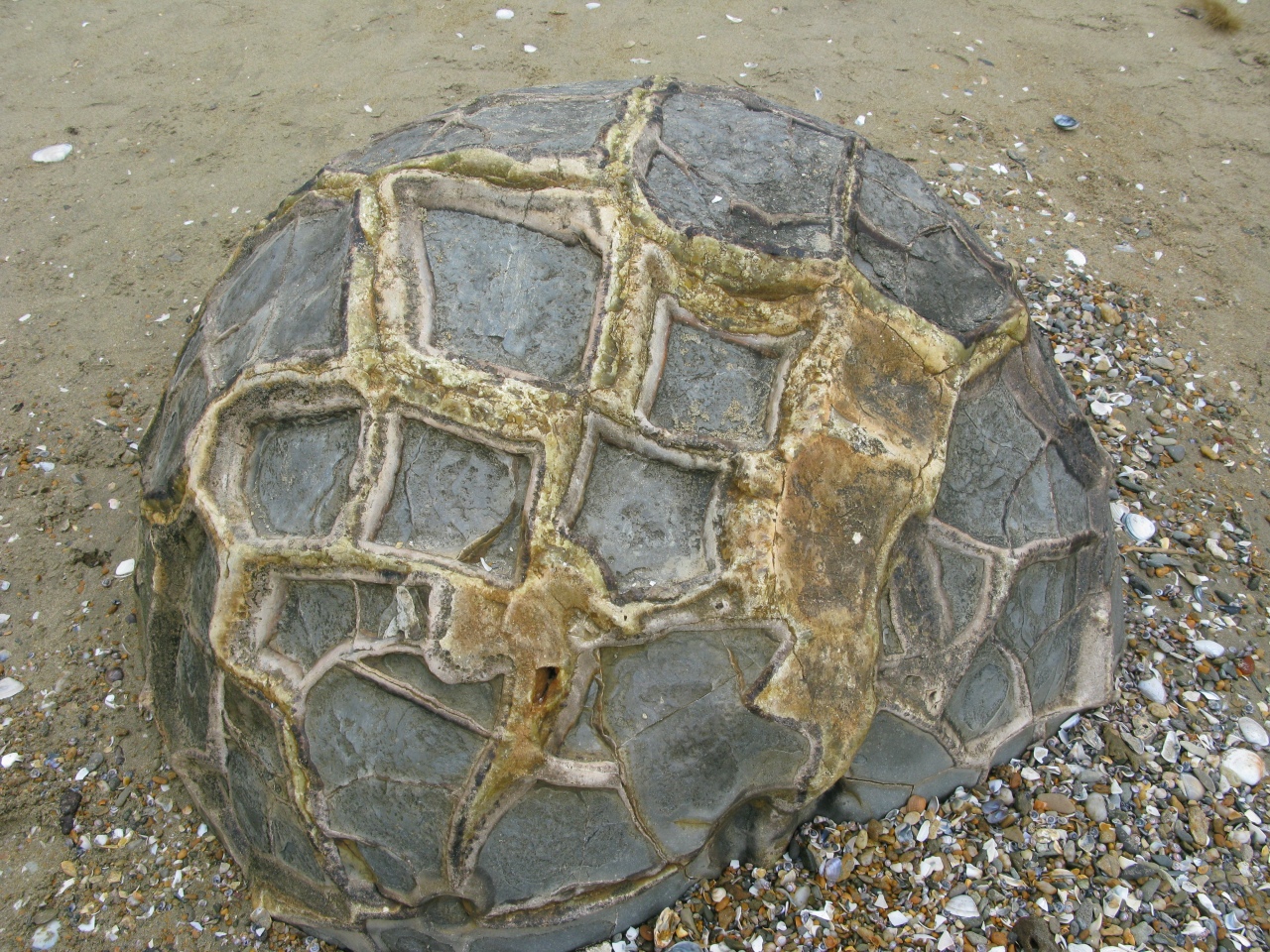 Moeraki Boulders