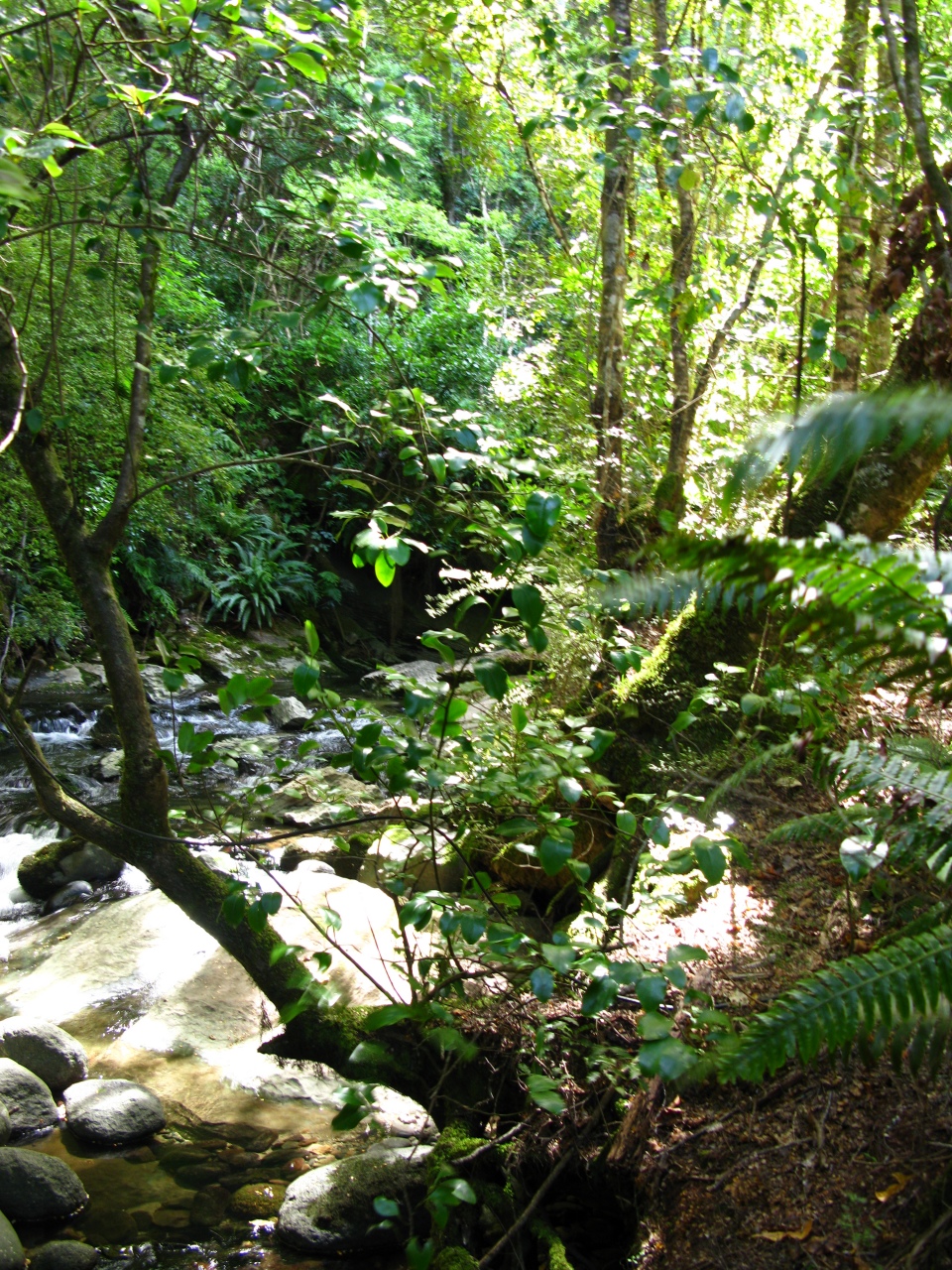 Te Anau