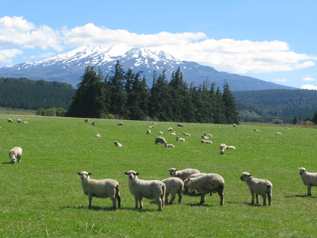 Ohakune