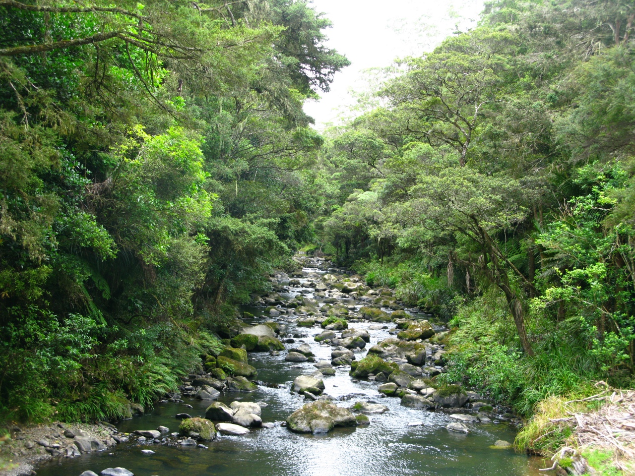 Whangarei